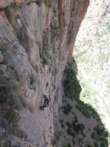 Min_Los-Ratones-Coloraos-003.jpg