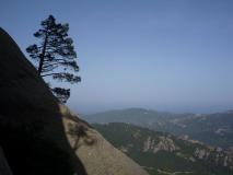 Min_Lunarda-Nirvana-031.jpg