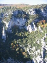 Min_Lune-Oiseaux-001.jpg