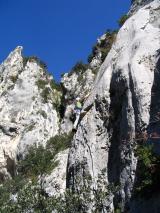 Min_Lune-Oiseaux-002.jpg