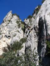 Min_Lune-Oiseaux-003.jpg