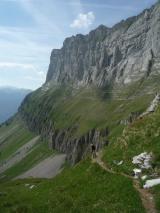Min_Luxis-002.jpg