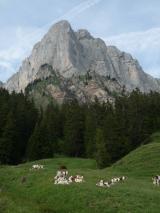 Min_Luxis-006.jpg