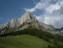 Min_Luxis-033.jpg