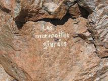 Min_Marmottes-Givrees-007.jpg