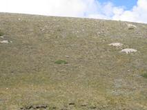 Min_Marmottes-Givrees-018.jpg