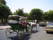 Min_Marrakech-Taghia-003.jpg
