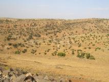 Min_Marrakech-Taghia-005.jpg