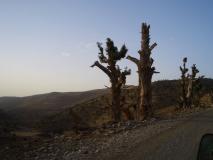 Min_Marrakech-Taghia-011.jpg