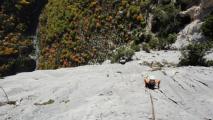 Min_Mix-Golem-006.jpg