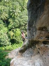 Min_Monkey-World-002.jpg