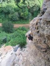 Min_Monkey-World-003.jpg