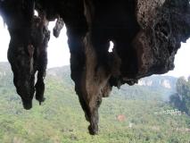 Min_Monkey-World-007.jpg