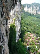 Min_Monkey-World-008.jpg