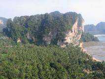 Min_Monkey-World-009.jpg