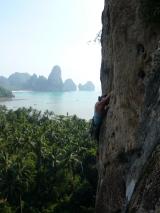 Min_Monkey-World-010.jpg