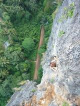 Min_Monkey-World-017.jpg