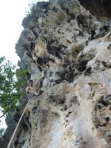 Min_Monkey-World-021.jpg