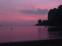 Min_Monkey-World-023.jpg