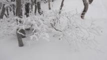 Min_Mont-Charvet-005.jpg