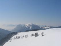 Min_Mont-Morbie-009.jpg