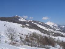 Min_Mont-Morbie-021.jpg