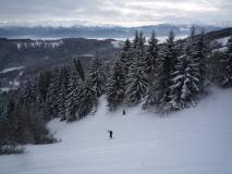 Min_Mont-Morbie-2010-001.jpg