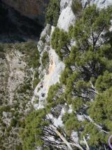 Min_Murmures-Foret-020.jpg