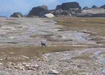 Min_Nul-Est-Parfait-033.jpg