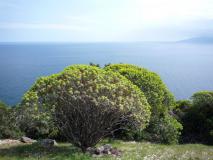 Min_Oceano-Mare-009.jpg