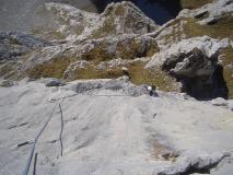 Min_Oiseau-Feu-022.jpg