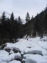 Min_Orionde-Barlet-003.jpg