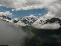 Min_Ours-Qui-Fouille-001.jpg