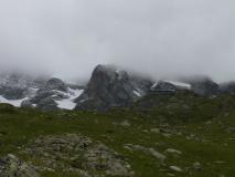 Min_Ours-Qui-Fouille-003.jpg