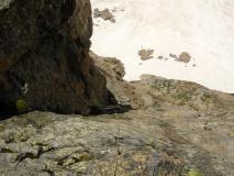 Min_Ours-Qui-Fouille-018.jpg