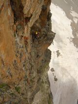Min_Ours-Qui-Fouille-025.jpg