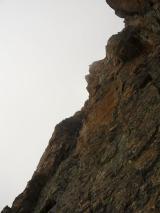Min_Ours-Qui-Fouille-029.jpg