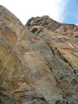 Min_Ours-Qui-Fouille-033.jpg