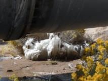 Min_Owens-River-Gorge-007.jpg