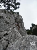 Min_Pegase-008.jpg