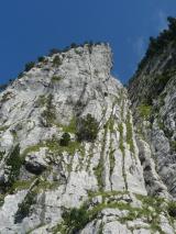 Min_Pegase-012.jpg