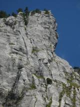 Min_Pegase-013.jpg