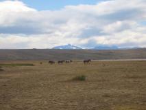 Min_Perito-Moreno-003.jpg