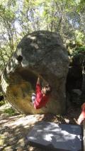 Min_Petreto-013.jpg