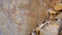 Min_Phoebus-005.jpg