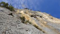 Min_Phoebus-012.jpg