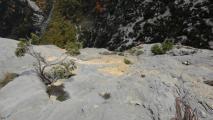 Min_Phoebus-013.jpg