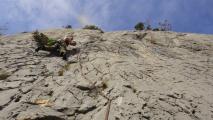 Min_Phoebus-019.jpg