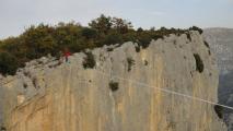 Min_Phoebus-023.jpg