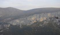 Min_Phoebus-024.jpg